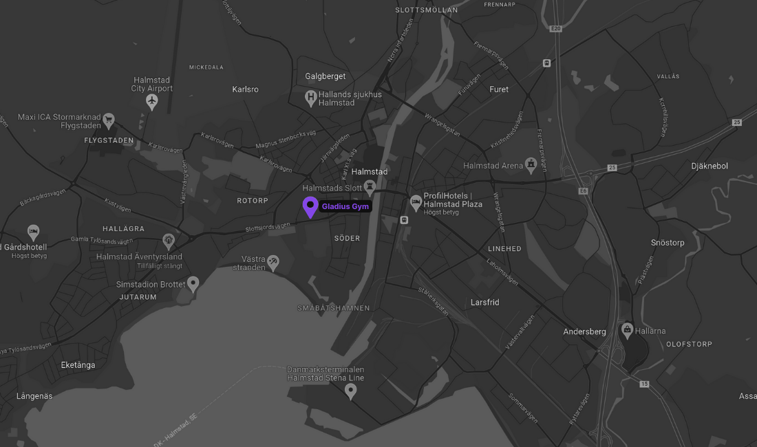 An image on a map, colorless in white, black and grey, over Halmstad, with a localized dot in purple, placed over Gladius Gym's location, Bohusgatan 1,302 38 HALMSTAD.